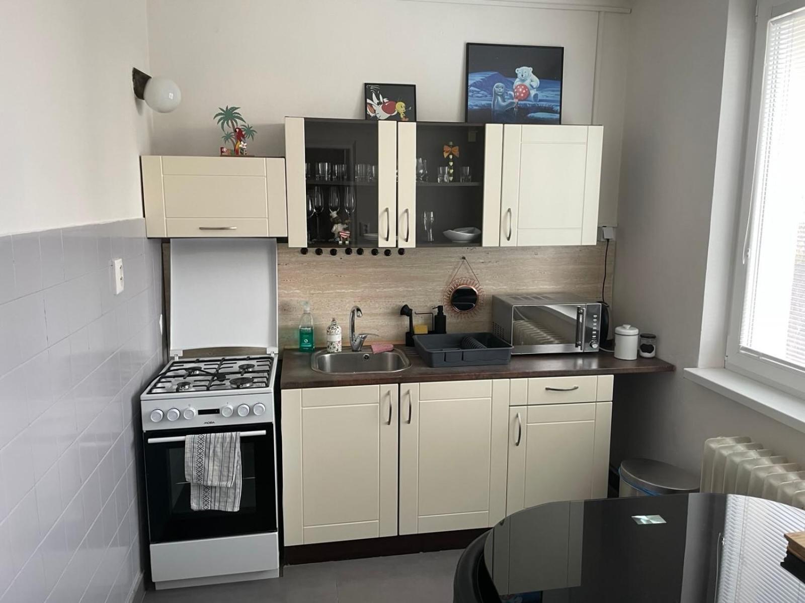 Apartman Sabo Komenskeho コシツェ エクステリア 写真